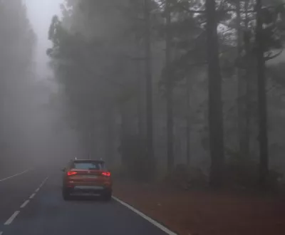 Feuilles mortes, pluie et brouillard SEAT