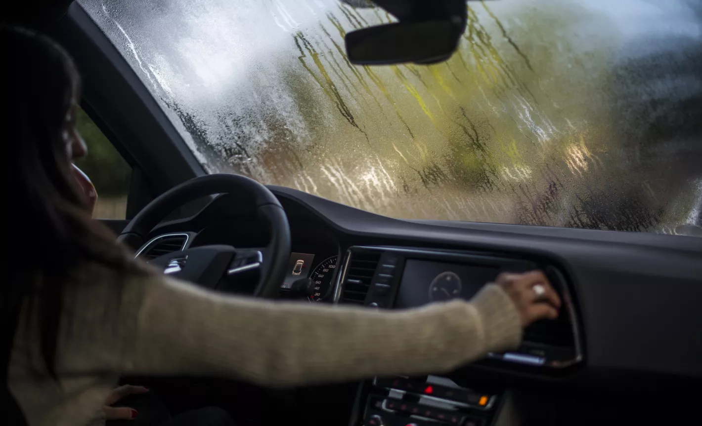 Feuilles mortes, pluie et brouillard : 10 conseils pour faire face aux défis de la conduite en automne